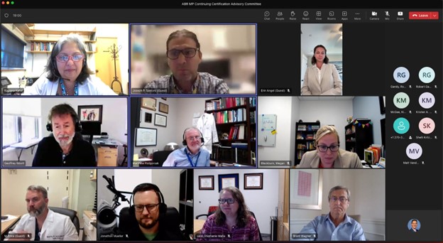 Screenshot of the Medical Physics Continuing Certification Advisory Committee Online Meeting